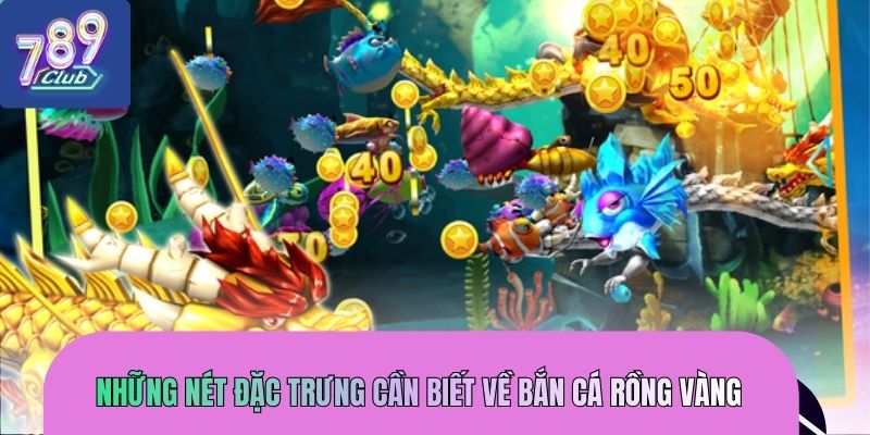 ban-ca-rong-vang-net-dac-trung