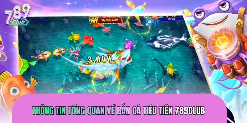 Thông tin tổng quan về bắn cá Tiểu Tiên 789CLUB