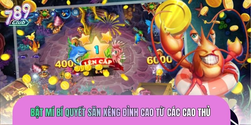 ban-ca-xeng-bi-quyet