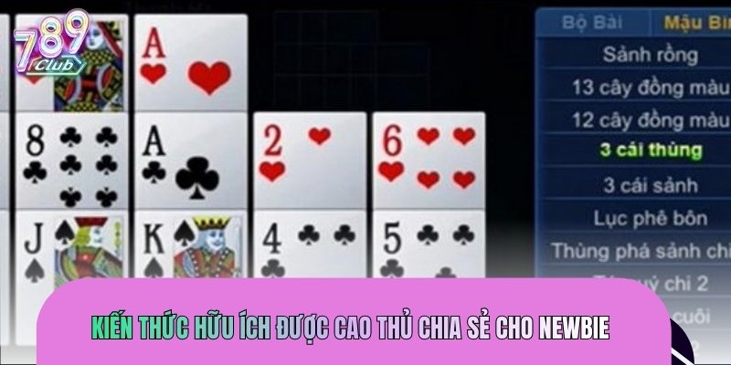 Kiến thức hữu ích được cao thủ chia sẻ cho newbie