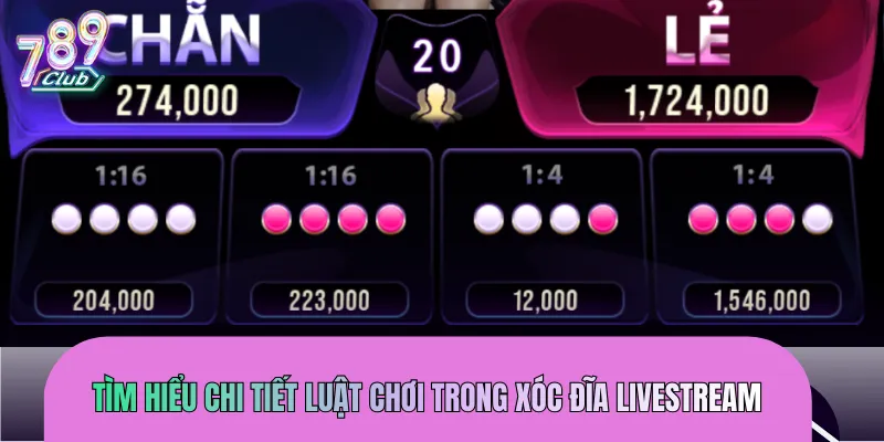 Chi tiết thông tin cần nắm về luật chơi trước khi cá cược