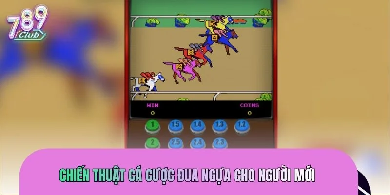 Một vài chiến thuật cá cược đua ngựa hiệu quả