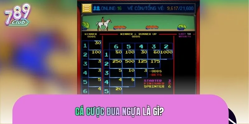 Tìm hiểu về hình thức cá cược đua ngựa