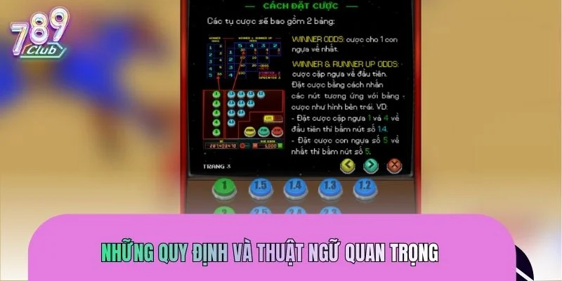 Luật chơi cá cược đua ngựa bạn cần ghi nhớ