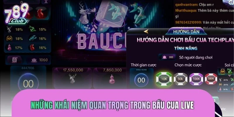 Các thuật ngữ có thể gặp khi tham gia bầu cua live bạn cần biết